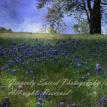 A field of Blue