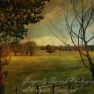 Field of Yellow